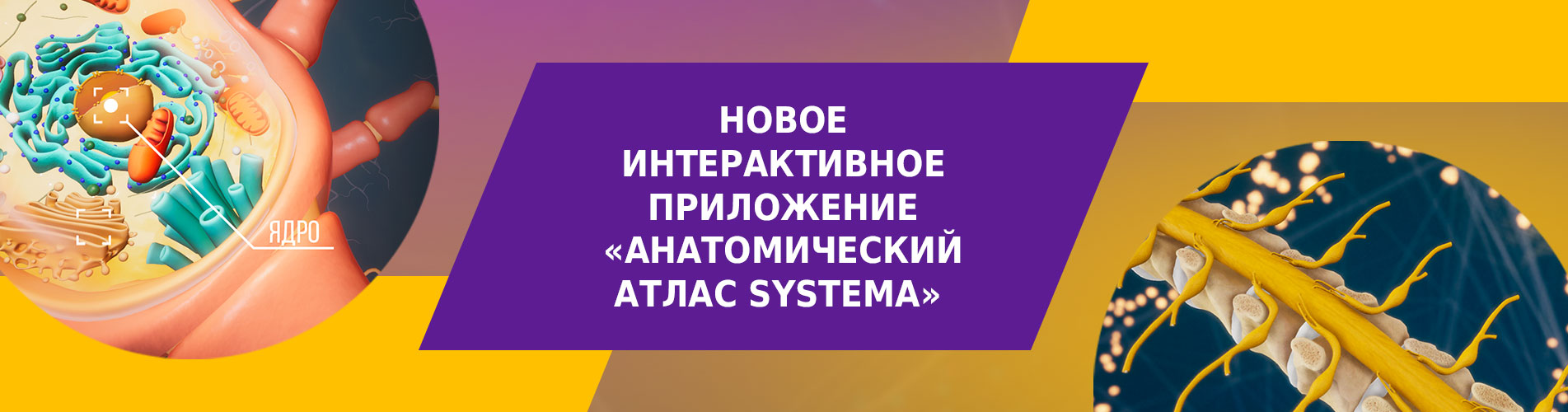 Анатомический атлас SYSTEMA